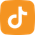 tiktok icon